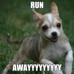 run awayyyyy | RUN; AWAYYYYYYYYY | image tagged in run awayyyyy | made w/ Imgflip meme maker