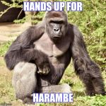 Harambe | HANDS UP FOR; HARAMBE | image tagged in harambe | made w/ Imgflip meme maker