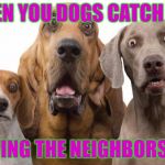 Dogs Surprised | WHEN YOU DOGS CATCH YOU PETTING THE NEIGHBORS CAT | image tagged in dogs surprised | made w/ Imgflip meme maker