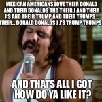Mexican Americans are named Chata and Chella and Chemmaand have a son in law named Donald  | MEXICAN AMERICANS LOVE THEIR DONALD AND THEIR DONALDS AND THEIR J AND THEIR J'S AND THEIR TRUMP AND THEIR TRUMPS... THEIR... DONALD DONALDS J J'S TRUMP TRUMPS! AND THATS ALL I GOT  HOW DO YA LIKE IT? | image tagged in mexican american,donald trump,mexico,cheech and chong,build a wall,memes | made w/ Imgflip meme maker