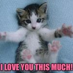 I love you this much  | I LOVE YOU THIS MUCH! | image tagged in i love you this much,memes | made w/ Imgflip meme maker
