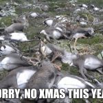 Reindeer killed by lightning | SORRY, NO XMAS THIS YEAR | image tagged in reindeer killed by lightning | made w/ Imgflip meme maker