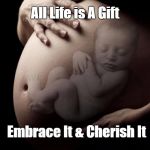 Pregnant Stomach | All Life is A Gift; Embrace It & Cherish It | image tagged in pregnant stomach | made w/ Imgflip meme maker