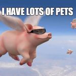 flying pigs | I HAVE LOTS OF PETS | image tagged in flying pigs | made w/ Imgflip meme maker