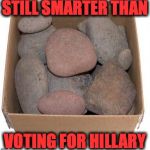 Box of Rocks | STILL SMARTER THAN; VOTING FOR HILLARY | image tagged in box of rocks | made w/ Imgflip meme maker