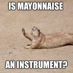 Raise Hand Prairie Dog | IS MAYONNAISE; AN INSTRUMENT? | image tagged in raise hand prairie dog | made w/ Imgflip meme maker