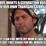 Which is nice  | MY WIFE WANTS A SEPARATION BECAUSE OF HER OWN TRANSGRESSIONS... BUT I CAN LIVE WITH MY MOM AT AGE 38... SO I'VE GOT THAT GOING FOR ME, WHICH IS NICE. | image tagged in which is nice | made w/ Imgflip meme maker