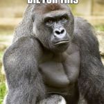 Harambe | HARAMBE DIDN'T DIE FOR THIS; PICK UP YOUR TRASH | image tagged in harambe | made w/ Imgflip meme maker