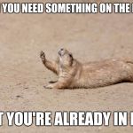 Gopher? | WHEN YOU NEED SOMETHING ON THE FLOOR; BUT YOU'RE ALREADY IN BED | image tagged in gopher | made w/ Imgflip meme maker