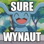 Pokemon puns | SURE; WYNAUT | image tagged in why not,memes,puns | made w/ Imgflip meme maker