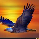 Eagle die or liberty