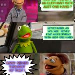 Muppets  | HOW DO YOU LIFT AN ELEPHANT WITH JUST ONE HAND ? NEVER MIND, AS YOU WILL NEVER FIND AN ELEPHANT WITH JUST ONE HAND; AWW!  NEVER THOUGHT OF THAT ! | image tagged in muppets,memes | made w/ Imgflip meme maker