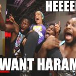 New Day Bayley | HEEEEEEEEY; WE WANT HARAMBE! | image tagged in new day bayley | made w/ Imgflip meme maker