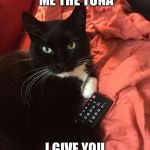 Remote Cat | YOU GIVE ME THE TUNA; I GIVE YOU THE REMOTE | image tagged in remote cat | made w/ Imgflip meme maker