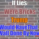 That Wall | If Lies; Were Bricks; Trump; Would HaveThat Wall Done By Now; Vote Blue You Assholes | image tagged in donald trump,trump,wall,lies,brick,bullshit | made w/ Imgflip meme maker