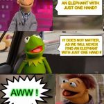 Muppets  | HOW CAN YOU LIFT AN ELEPHANT WITH JUST ONE HAND? IT DOES NOT MATTER, AS WE WILL NEVER FIND AN ELEPHANT WITH JUST ONE HAND !! AWW ! | image tagged in muppets | made w/ Imgflip meme maker