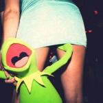 Party Kermit