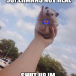 Sky Hedgehog | SORRY LITTLE HEDGEHOG SUPERMANS NOT REAL; SHUT UP IM SUPERMAN!!!! | image tagged in sky hedgehog | made w/ Imgflip meme maker