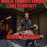 Bad Pun Ant-Man | WHO IS THE MOST FAMOUS ANT SCIENTIST? ALBERT ANTSTEIN! | image tagged in bad pun ant-man,funny,memes,bad pun,marvel,ant-man | made w/ Imgflip meme maker