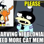 please nibblonians everywhere need you! | PLEASE; STARVING NIBBLONIANS NEED MORE CAT MEMES | image tagged in lord nibbler,funny cats,futurama nibbler,futurama,funny | made w/ Imgflip meme maker