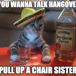 Cat Jose Cuervo | SO YOU WANNA TALK HANGOVERS? PULL UP A CHAIR SISTER | image tagged in cat jose cuervo | made w/ Imgflip meme maker