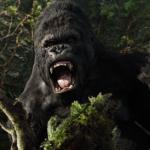 Kong angry