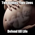 Pregnant Stomach | Two Bodies, Two Lives; Defend All Life | image tagged in pregnant stomach | made w/ Imgflip meme maker