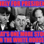 Vote for Curly! | CURLY FOR PRESIDENT; WHAT'S ONE MORE STOOGE IN THE WHITE HOUSE? | image tagged in three stooges,memes,funny,election 2016,hillary,trump | made w/ Imgflip meme maker