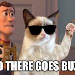 Grumpy Cat Everywhere | AND THERE GOES BUZZ... | image tagged in grumpy cat everywhere,memes | made w/ Imgflip meme maker