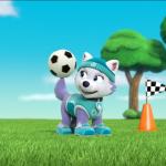 Everest Spinning A Soccer Ball On Her Tail PAW Patrol meme