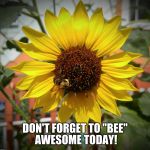Don't forget to bee awesome today!  | DON'T FORGET TO "BEE"  AWESOME TODAY! | image tagged in sunflower and bee,inspirational memes,awesome,nature,memes,positive thinking | made w/ Imgflip meme maker
