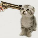 kitten gun