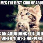 First World Problems Cat  | SOMETIMES THE BEST KIND OF ABUNDANCE; IS AN ABUNDANCE OF QUIET WHEN YOU'RE NAPPING | image tagged in secret,first world problems,cats | made w/ Imgflip meme maker