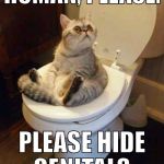 When you walk in to go to the toilet, but your cat's using it. | HUMAN, PLEASE. PLEASE HIDE GENITALS. | image tagged in toilet cat,cats | made w/ Imgflip meme maker