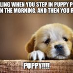 Sad Puppy | THAT FEELING WHEN YOU STEP IN PUPPY POO FIRST THING IN THE MORNING, AND THEN YOU REALIZE... PUPPY!!!! | image tagged in sad puppy | made w/ Imgflip meme maker