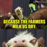 Bad pun cow  | WHY DON'T COWS HAVE ANY MONEY? BECAUSE THE FARMERS MILK US DRY | image tagged in bad pun cow,cows,funny memes,laughs,jokes,milk | made w/ Imgflip meme maker