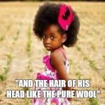 Cute black girl | "AND THE HAIR OF HIS HEAD LIKE THE PURE WOOL" | image tagged in cute black girl | made w/ Imgflip meme maker