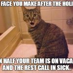 Work in IT they said - fun it'll be, they said.. | THAT FACE YOU MAKE AFTER THE HOLIDAYS; WHEN HALF YOUR TEAM IS ON VACATION, AND THE REST CALL IN SICK.. | image tagged in surprised and amazed cat,team out sick meme,surprised cat meme,amazed cat meme,it meme,it sucks meme | made w/ Imgflip meme maker