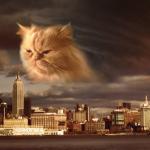End of the World Cat meme