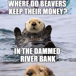 The beaver of Wall Street | WHERE DO BEAVERS KEEP THEIR MONEY? IN THE DAMMED RIVER BANK | image tagged in bad pun otter,funny memes,bad pun,otter,beaver,money | made w/ Imgflip meme maker
