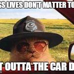 DOGS LIVES MATTER IS NOT A CAT ISSUE | DOGS LIVES DON'T MATTER TO ME; GET OUTTA THE CAR DOG | image tagged in avo2484catsheriff,black lives matter,funny cats,police brutality | made w/ Imgflip meme maker