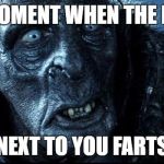 LOTR | THAT MOMENT WHEN THE PERSON; NEXT TO YOU FARTS | image tagged in lotr | made w/ Imgflip meme maker