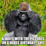 Gorilla headache | ALWAYS WITH THE PICTURES ON A DUDES BIRTHDAY...SHIT | image tagged in gorilla headache | made w/ Imgflip meme maker