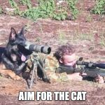 Military Humour | AIM FOR THE CAT | image tagged in military humour | made w/ Imgflip meme maker