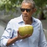 Obama Coconut