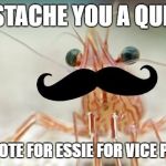 shrimpmoustache | I MOUSTACHE YOU A QUESTION; WILL YOU VOTE FOR ESSIE FOR VICE PRESIDENT? | image tagged in shrimpmoustache | made w/ Imgflip meme maker