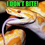 high af snake | I DON'T BITE! | image tagged in high af snake | made w/ Imgflip meme maker