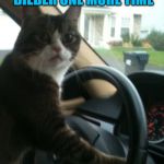 JoJo The Driving Cat (A  ghostofchurch Template) | IF YOU TURN THAT RADIO BACK TO JUSTIN BIEBER ONE MORE TIME; I SWEAR I'LL DRIVE US OFF A CLIFF | image tagged in jojo the driving cat,funny memes,justin bieber,cat,driving,laughs | made w/ Imgflip meme maker