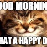 Good Mood Cat | GOOD MORNING! WHAT A HAPPY DAY | image tagged in memes,cats | made w/ Imgflip meme maker