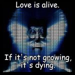love is alive. | Love is alive. If it's not growing, it's dying. | image tagged in love | made w/ Imgflip meme maker